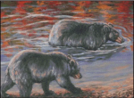 (image for) Reflective Shore
